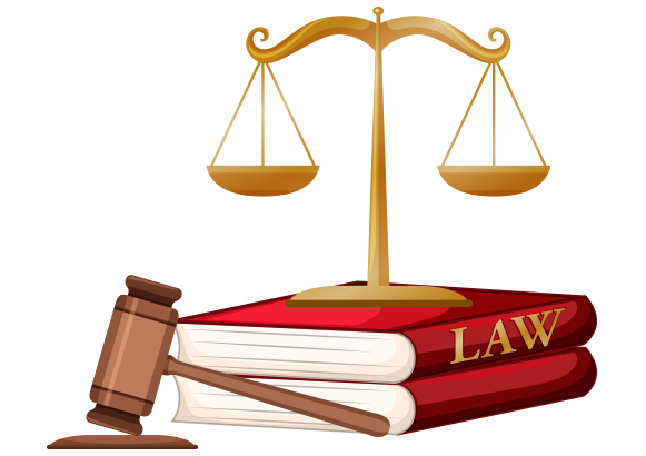 Law Case Study Support